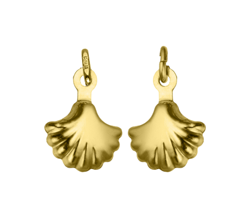 Puffed Shell